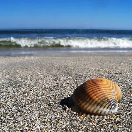 Апартаменты Summerland Sea View Penthouse & Jacuzzi Мамая