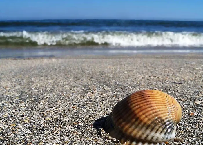 Apartmán Summerland Sea View Penthouse & Jacuzzi Mamaia